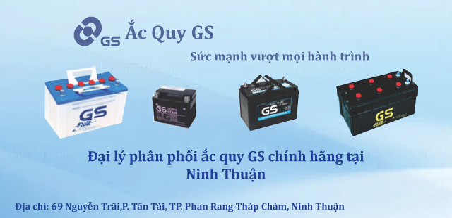 Ắc Quy GS 